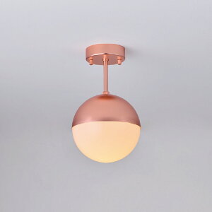 MAXRAY@Orb/I[u@150@V[OCg@t@ǎt@}bgRp@E17@vʔ@ML30167-34(OP0171334+OP0173148)