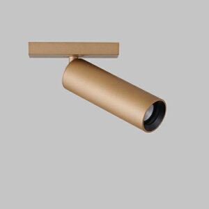 MAXRAY@LEDX|bgCg@25 LDR SPOT@gtBbg@z_Ng[p@{̐FS[h@vʔ@MS10520-88(OP0178088+OP0178238)