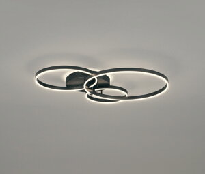 ODELIC@VfA@LEĎ^@ȈՎtA@|V[O@M100W×2@Rg[[ʔ@@dF2700K@^bNubN@OC257245BC