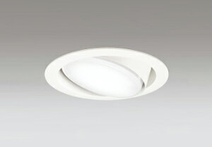 ODELIC�@�_�E�����C�g�@���j�o�[�T���_�E�����C�g�@��^�@FHT24W�����@�����F�@��������125mm�@R15�����FLED�@LED�����v�t���@�I�t�z���C�g�F�@OD361361NR