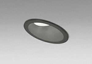 ODELIC@GNXeACg@Op_ECg@hJ^@CSB@FLED@LEĎ^@100mm@M100W@F5000K@iubNj@OD261980R