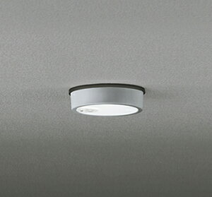 ODELIC@GNXeACg@LED@V[OCg@hJ^@t@lZT[t@FLED@LEĎ^@M60W@F5000K@}bgVo[@OG254537R