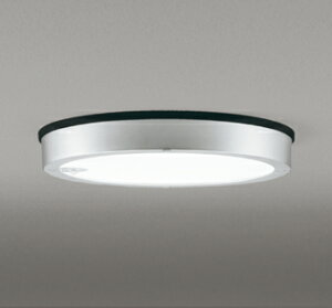 ODELIC@GNXeACg@LED@V[OCg@hJ^@t@lZT[t@FLED@LEĎ^@FCL30W@F5000K@}bgVo[@OG254817R