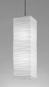 ODELIC@aƖ@Ɩ@|V[O@R[h@FLED@LEDvt@M100W×2@񒲌@F5000K@OP052091NBR