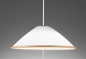 ODELIC@y_gCg@|V[O@XCb`t@FLED@LEDvt@M100W×2@񒲌@F5000K@OP087317NR