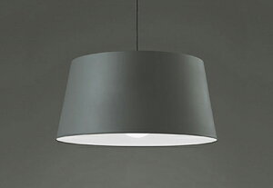 ODELIC@y_gCg@|V[O@FLED@LEDvt@M100W@񒲌@F5000K@`R[O[@OP252132NR