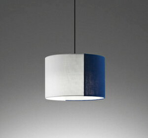 ODELIC@aƖ@y_gCg@|V[O@FLED@LEDvt@M60W@񒲌@F5000K@߁@OP252962NR