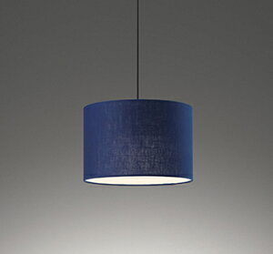 ODELIC@aƖ@y_gCg@|V[O@FLED@LEDvt@M60W@񒲌@F3500K@߁@OP252964WR