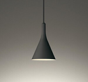 ODELIC@y_gCg@z_Ng[@FLED@LEDvt@M100W@A@dF2700K@iubNj@OP273029LR