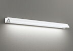 ODELIC　LED看板灯　壁面取付型　防雨・防湿形　昼白色　FL40W相当　高演色　LEDランプ付き　XG554045R