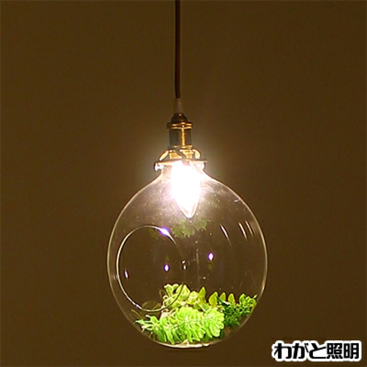 楽天市場】オーブ ペンダントライト 照明テラリウム フェイクグリーン 