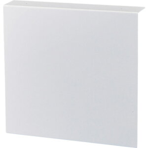 日本緑十字社 高輝度蓄光標識貼付用プレート 天井用 TEP2020 210×224mm 白 樹脂製 377014