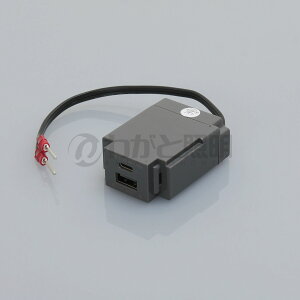 mA@USB Type-C/Type-A ̌^USB RZgig֎j@H]VFFR[h150mm@1W[@2|[g@100V@AC@o3A@5V@DC@X}[gICځ@O[@N-USB0301GR