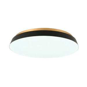 SWAN@TAIRA CEILING LIGHT@|V[O@ȈՎt@F10iK@Abp[Cg@vX@\@铔@[@\@Rt@ubN@ACE-175BK