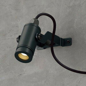 �^�J�V���[�@DIA-30�@�X�|�b�g���C�g�@�t�����W���X�@12V/24V�@�{��:��(�u���b�N)�@�R�[�h:99308600�@�g�����X�E�A�N�Z�T���ʔ��@HBA-D51K
