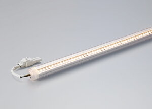 DNCeBO@pLEDW[@CLED2-WP@duʔ@pCv@IP64@{̐@287mm@dFi3000Kj@CLED2-287L30-WP 󒍐Yi