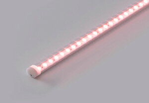 �v�����X�@LED�I�Ɩ����@�f�B�[���C���@��P�[�X�p�Ɩ��@C�V���[�Y�@BH�^�C�v�@T�^�C�v�i�����ی^�j�@�S��615mm�@���FLED�@�~�[�g����@NRA�@�����p�@CT615NRA/24BH-1 ���󒍐��Y�i