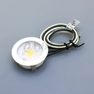 TES�@LIGHTING�@�Y��p ���^LED�f�B�X�v���C�_�E�����C�g Coin light(�R�C�����C�g) 100V�d�l �����Ή� �����E���t���p ��������50mm �����F 5000K 261lm 1/2�Ǝˊp63° �{�̐F �z���C�g(���F)�@TDL-1908W-50