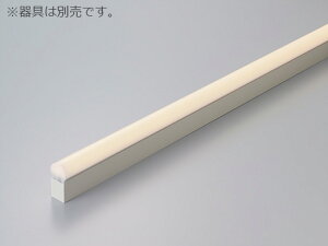 DNCeBO@TRIM LINE@pLEDW[@ԐڏƖ@TR2 D@p^@h[^Jo[@S999mm@F(4200K)@TR2-1000WD 󒍐Yi