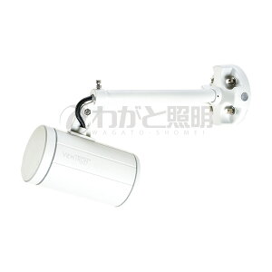 �j�b�P���n�[�h�E�F�A�@���O�T�C���p�A�[���X�|�b�g ViewTron�i�r���[�g�����j�@SS�A�[���Z�b�g�@�p���X�g���X���ⓔ250�`300W�����@32W�@2700K�@�d���F�����@2910lm�@�{�̐F�z���C�g�i���F�j�@