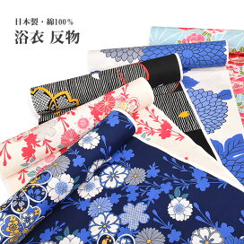 ytn-ss01.jpg?fitin=272:272