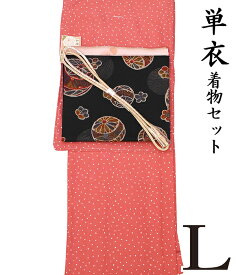 【ワゴンセール】江戸小紋【春初夏秋♪着物4点セット 『極』】【L 単衣】洗える着物+【木綿】洗える九寸名古屋帯+正絹帯揚げ+正絹帯〆【4点セット】洗える着物着物セット 小柄 櫛 ドット レトロ モダン hs-798 ongy78 hppk694