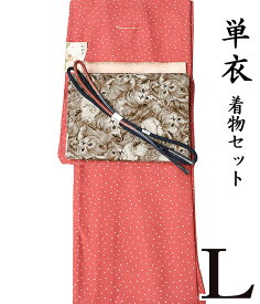 江戸小紋【 春初夏秋 ♪ 着物4点セット 極 】【 L 単衣 】 洗える着物 + 【 木綿 】洗える 九寸名古屋帯 + 正絹帯揚げ + 正絹帯〆 【4点セット】洗える着物着物セット 小柄 櫛 ドット レトロ モダン hs-927 ongy251 hppk694-l