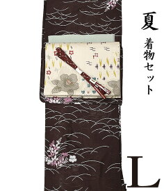 29610【 初夏 ・ 夏 ♪ 着物4点セット 極 】【 Lサイズ 】 【 絽 】 洗える着物 + 【 木綿 】 九寸名古屋帯 + 洗える 楊柳 紗 帯揚げ + 正絹 手組 夏帯〆 【 4点セット 】 着物セット コーデ 夏物 小紋 レトロ モダン ns-579 ongy270 nppk893-l 1328