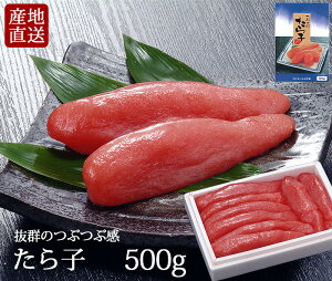    炱 500g y Yn z v`v`킦 k { ݂̂  O  wj AEj  Ε Mtg  q ӂ ՂՂ ^q т̂