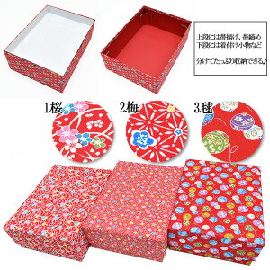 4840 a a [P[X y e z P[X [ ۊǂɍœK  P[X ϔ a m ߂  a m 30 komono-kesu01i0-5-5j