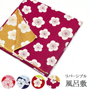 y20z y{zo[Vu C~ 100% un deux y 105cm 113cm z  3 O a GRobN  aG a ӂ낵 ٓ ub`[ V^ ~  _ g 