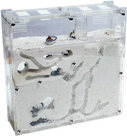 アリ飼育キット アリの巣 観察 キット アリ飼育セット 砂巣 アリ 観察 蟻 飼育 セット 爬虫類飼育ケース アリの巣観察キット 蟻用飼育ケース アリ飼育セット オート給水器付 初心者向け 脱走防止 繁殖対応 男の子 女の子 誕生日 プレゼント