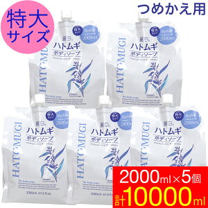 yPő12{11/1z{fB\[v ێ lߑւ ngM TCY 2000ml 5Zbg 픒