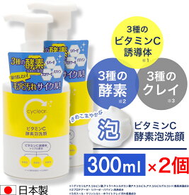 ビタミンC誘導体 泡タイプ 酵素泡洗顔 300ml ×2個 ビタミンC 柑橘系の香り 毛穴ケア 日本製