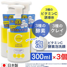 ビタミンC誘導体 泡タイプ 酵素泡洗顔 300ml ×3個 ビタミンC 柑橘系の香り 毛穴ケア 日本製