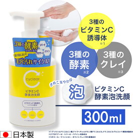 ビタミンC誘導体 泡タイプ 酵素泡洗顔 300ml ビタミンC 柑橘系の香り 毛穴ケア 日本製