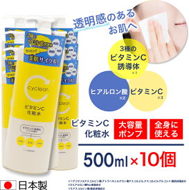 ビタミンC誘導体 化粧水 500ml ×10個 ビタミンC 柑橘系の香り 毛穴ケア 日本製