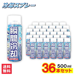 yPő13{C[OXӍՁzR[hXv[ 500ml×36{Zbg pXv[ { p ObY MǑ΍ObY Ђ Xv[ uԗpXv[ ^ ⊴ N[ ^ 