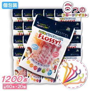 yPő12{11/1ztbVB ǂf^tX 60{ ×20 LVg[z pbN tX qp