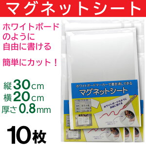 yPő13{11/30z}OlbgV[g  30cm×20cm 10Zbg  zCg{[h zCg