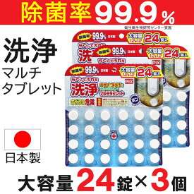 排水口クリーナー 洗浄 マルチタブレット 大容量 24錠入×3個 ライオンケミカル ピクス 日本製