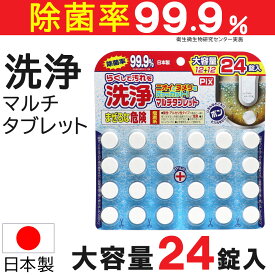 【エントリーでP10倍】排水口クリーナー 洗浄 マルチタブレット 大容量 24錠入り ライオンケミカル ピクス 日本製