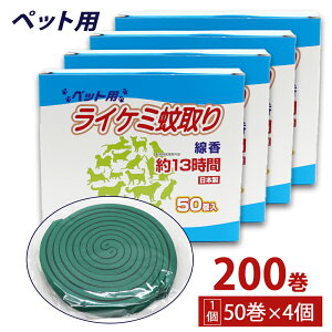  ybgp (AL p) ^Cv 13 50 ×4 { p򕔊Oi