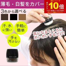 【P最大13倍★イーグルス感謝祭】白髪隠し 白髪かくし パウダー シャンデル ぽんぽん ヘアパウダー P 選べる3種類のカラー 白髪かくし頭皮 パウダー