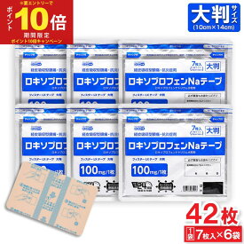 【エントリーでP10倍】【第2類医薬品】 ロキソプロフェンNaテープ フィスターLXテープ 大判 7枚入 ×6袋 経皮吸収型鎮痛 抗炎症剤 シップ 湿布