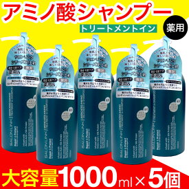 【P最大13倍★お買い物マラソン】シャンプー 薬用 トリートメントイン アミノ酸 1000ml 5個セット サロンリンク 医薬部外品