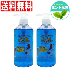 うがい液 イーレス うがい薬 300mL×2個セット ミント味 指定医薬部外品 日本製 送料無料