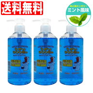【P最大14倍★お買い物マラソン期間限定】うがい液 イーレス うがい薬 300mL×3個セット ミント味 指定医…