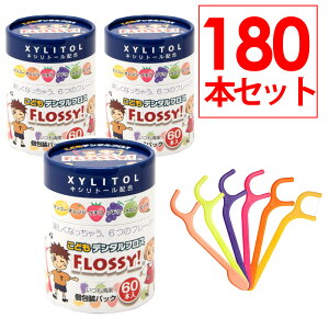 yPő12{11/1ztX ǂ tbV[ ǂp tX 60{×3Zbg LVg[z ǂf^tX@f^tX LbY f^tX qp