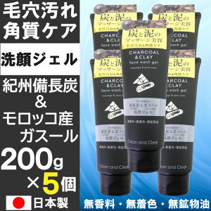 【P最大13倍★10/30限定】洗顔ジェル 200g×5個セット 紀州備長炭 モロッコ産ガスール 毛穴汚れ&角質ケア 無香料 無着色 無鉱物油 アルガンオイル 日本製